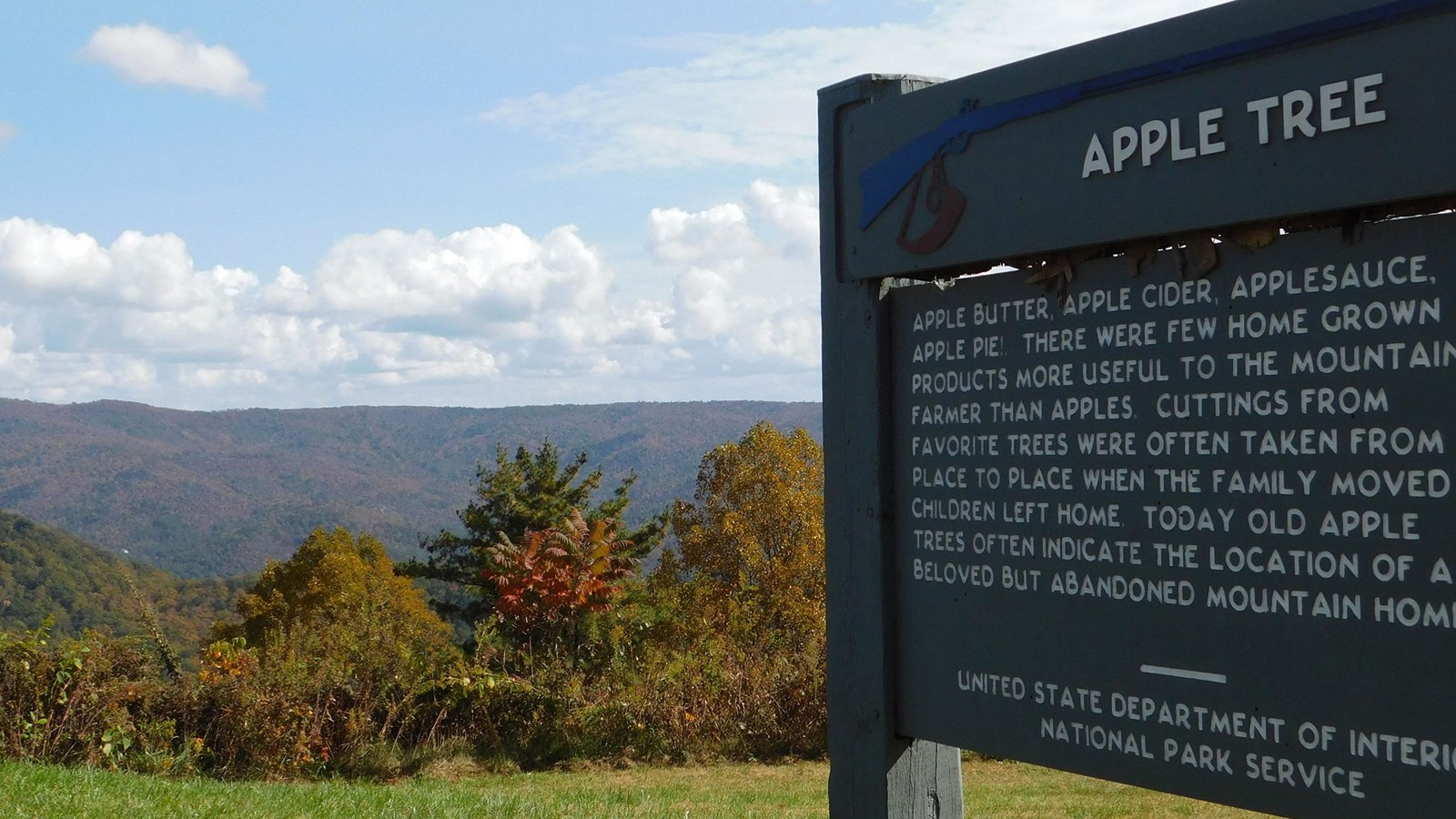 A wooden, carved sign with text about apples sits in front of a mountain view.