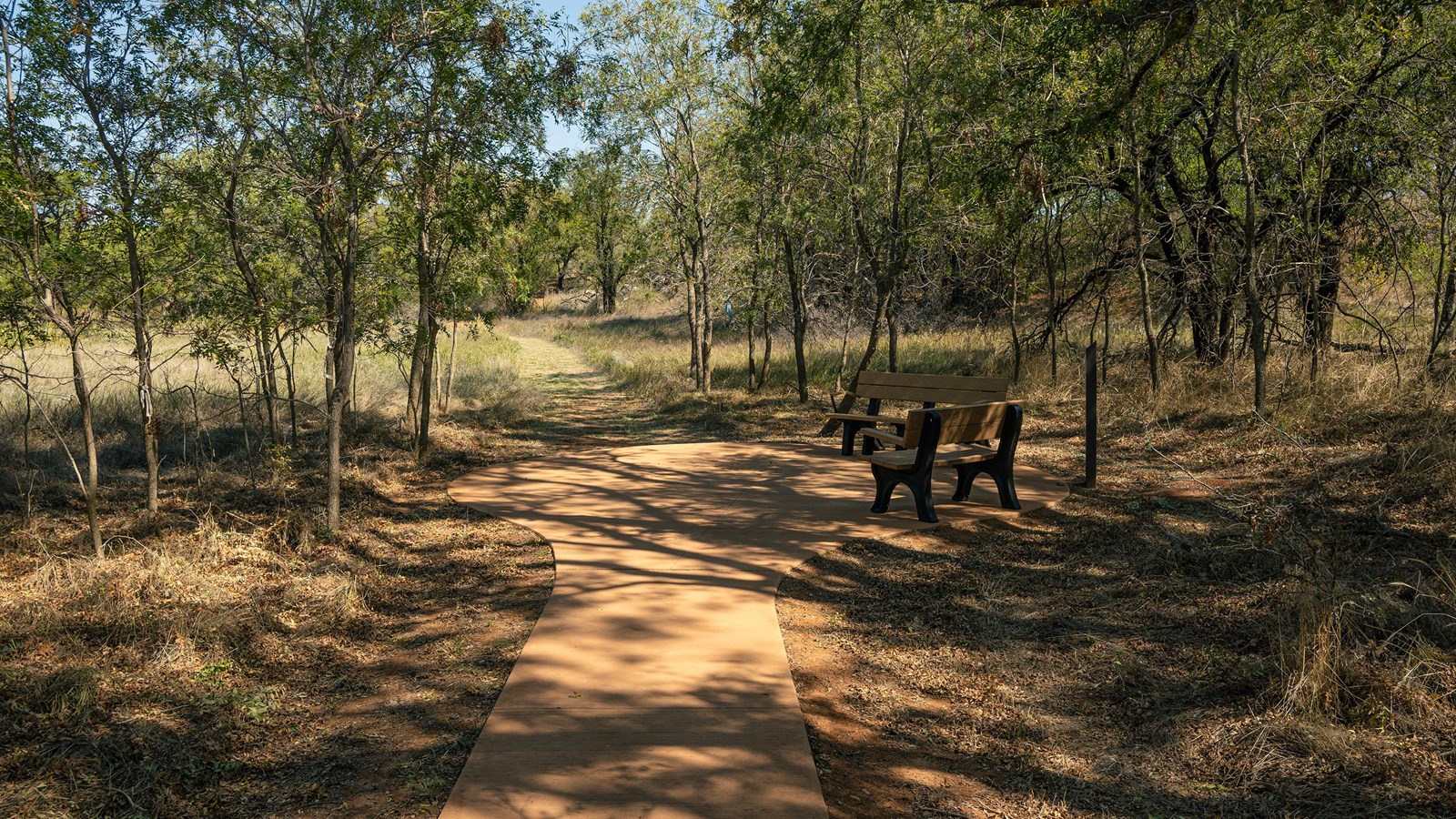 A paved path with two benches under trees.
