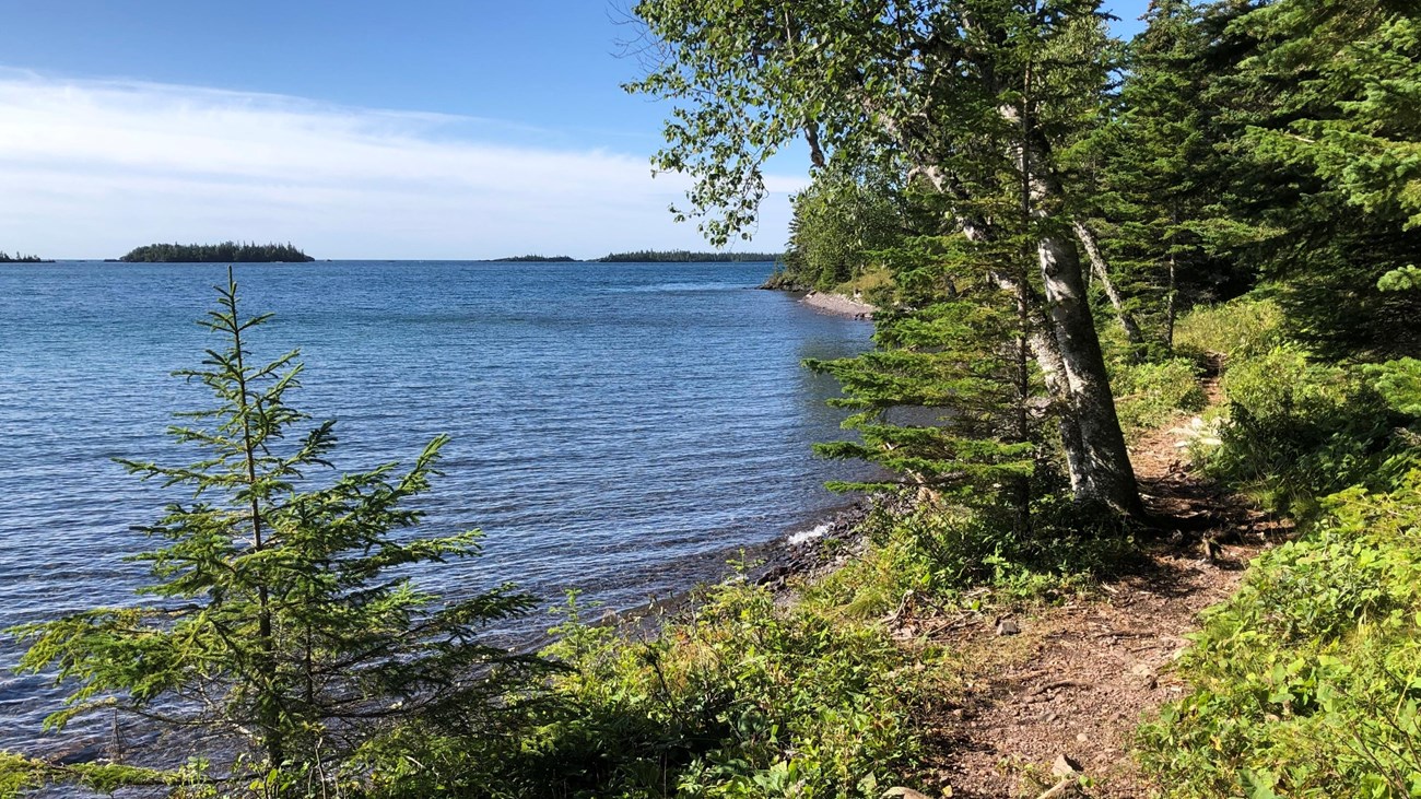 A trail along a shoreline surrounded by trees and shrubs near a lake with islands in distance.