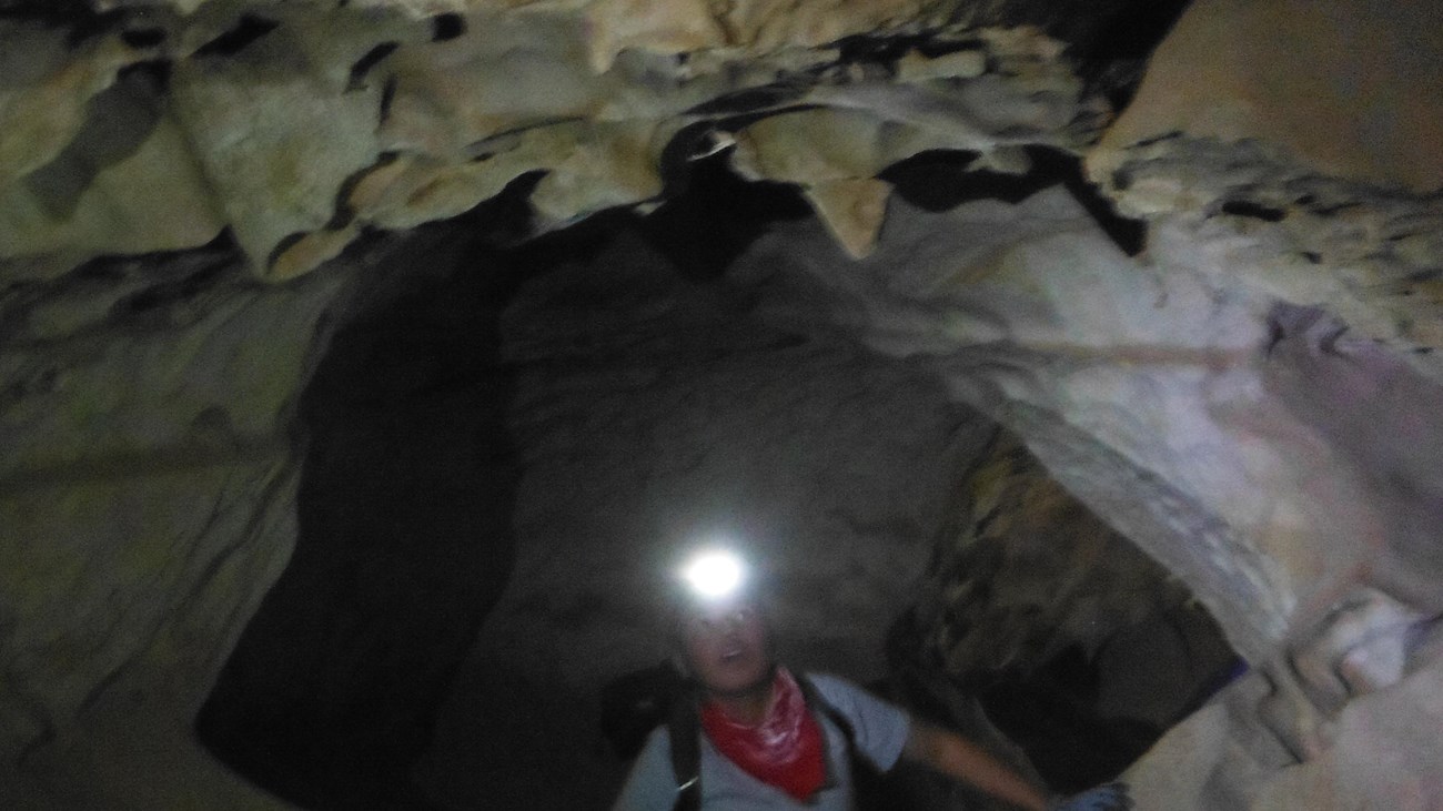 Male student with headlamp looking at cave formations on the ceiling.