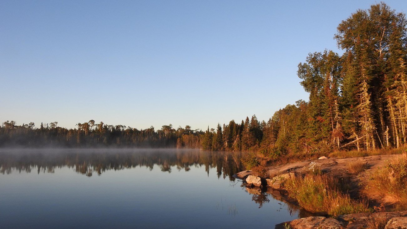 A rocky shoreline before a forest by a lake. 