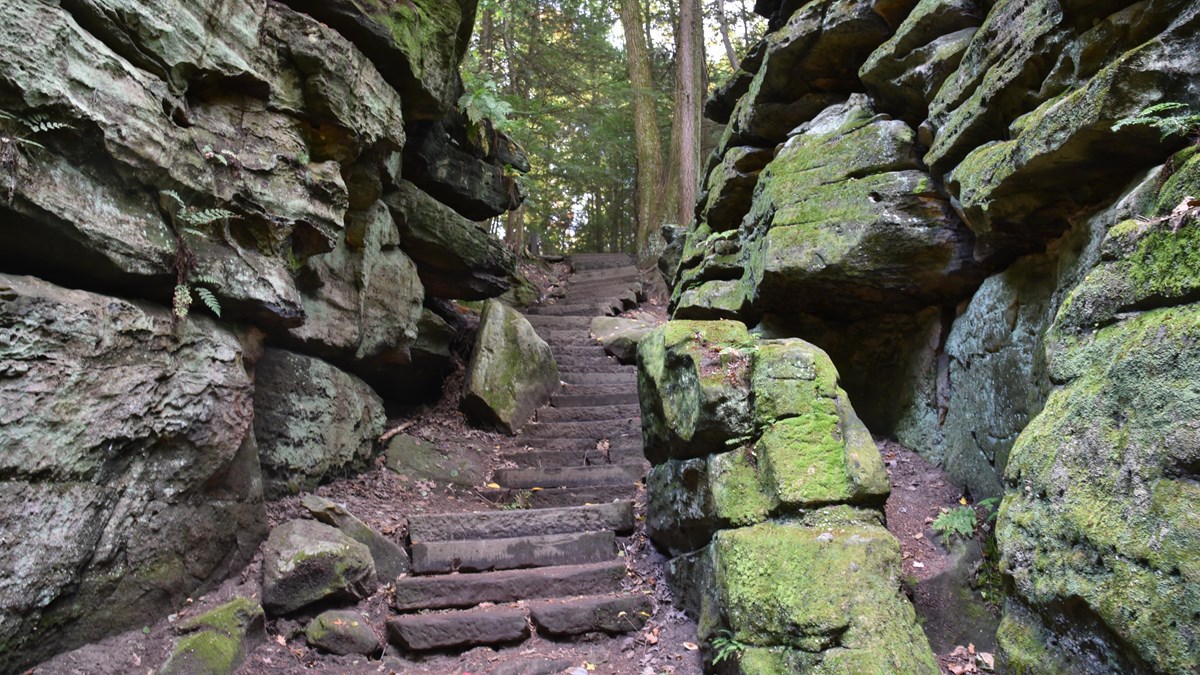 Staircase of rough-hewn gray stones winds between two walls of green moss-covered rock, up to trees.