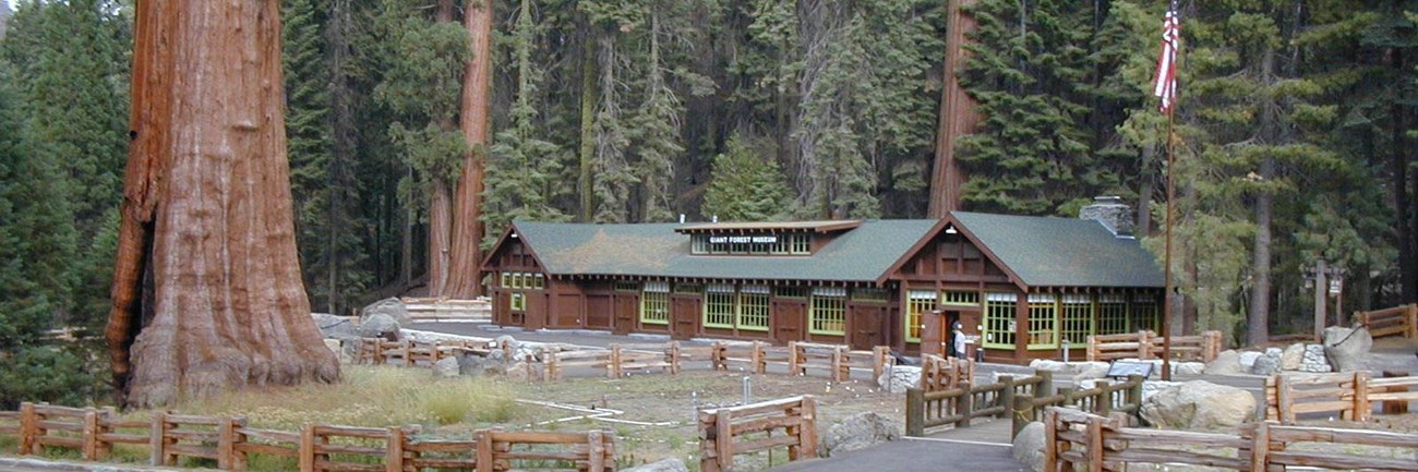 Giant Forest Museum