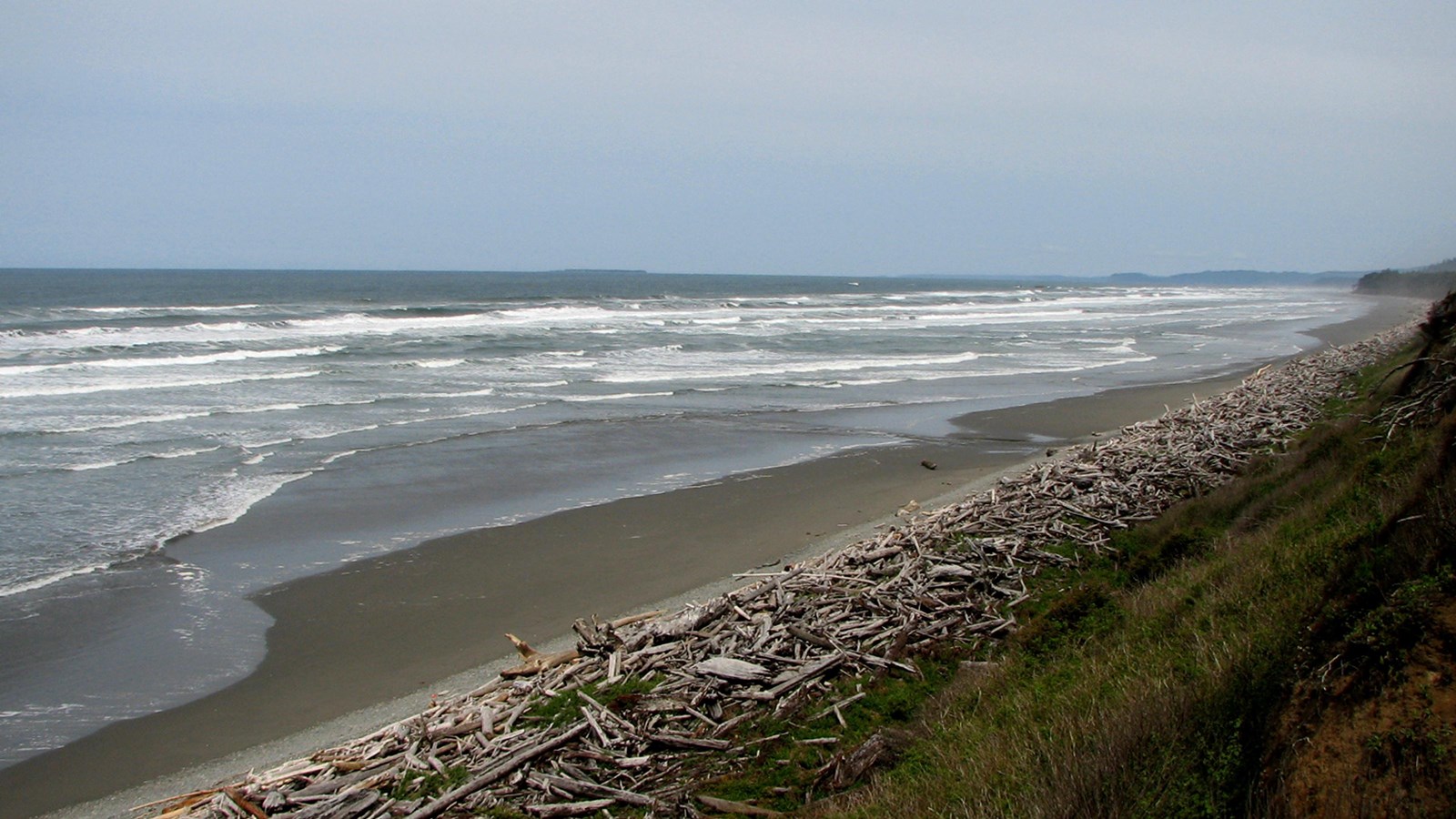 A beach stretches into the distance, white surf gently lapping at its sands and driftwood.