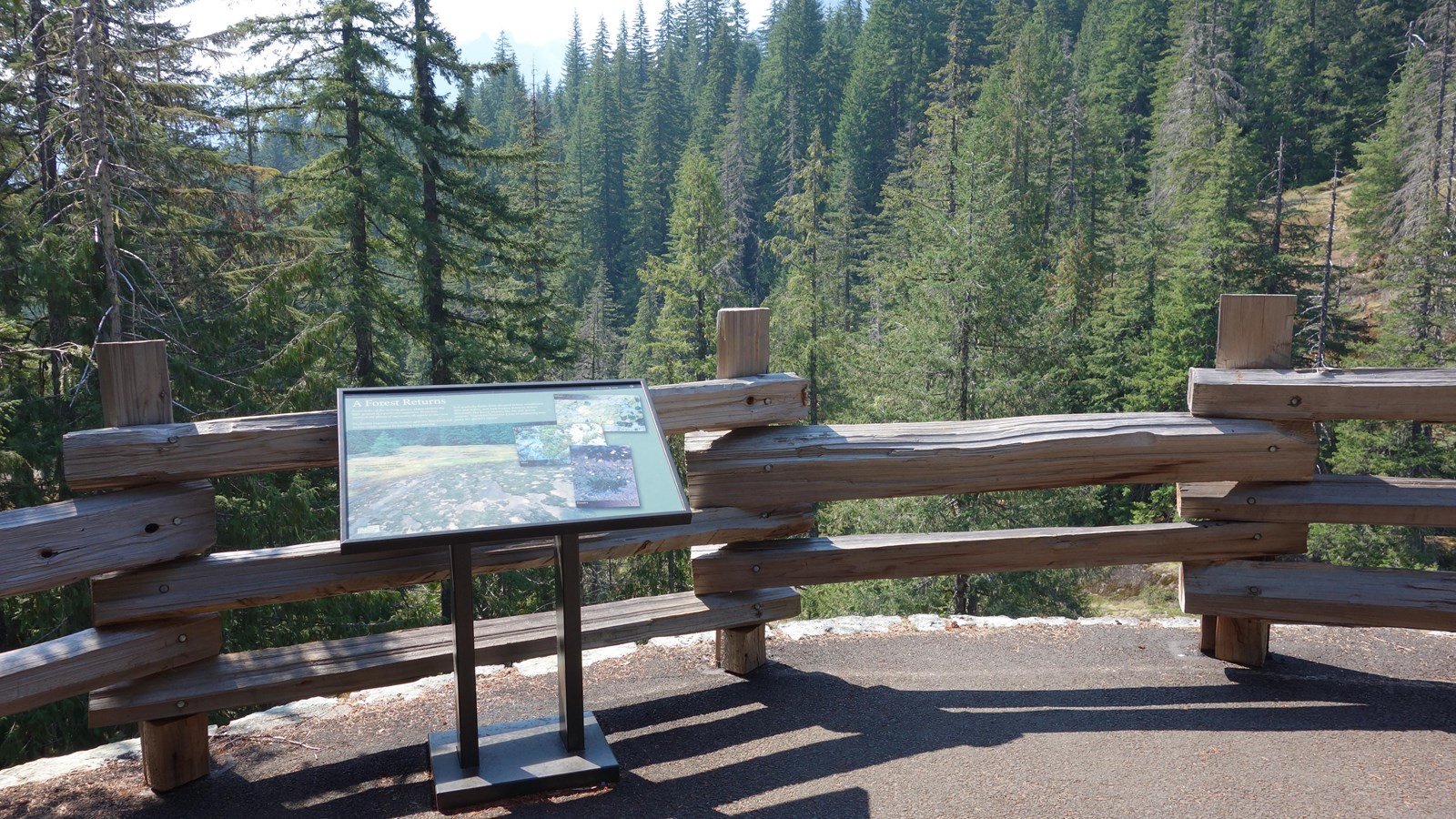 A exhibit panel in a metal frame in front of a split-rail fence overlooking a forest.