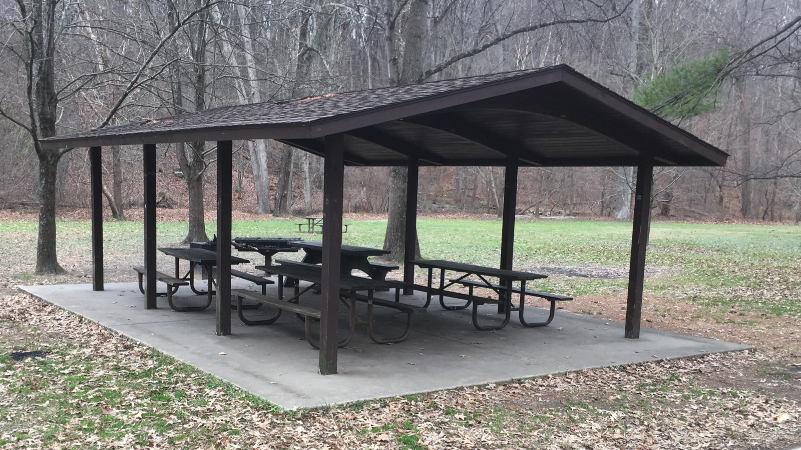 Picnic Grove 6 (U.S. National Park Service)