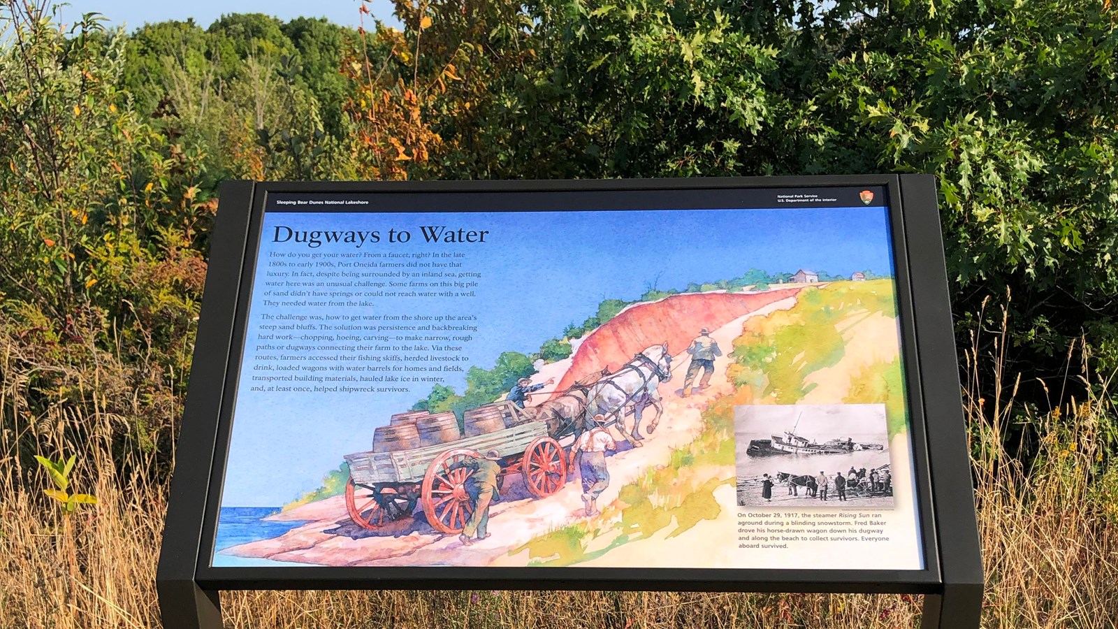 An informational sign stands in a grassy area with trees behind it