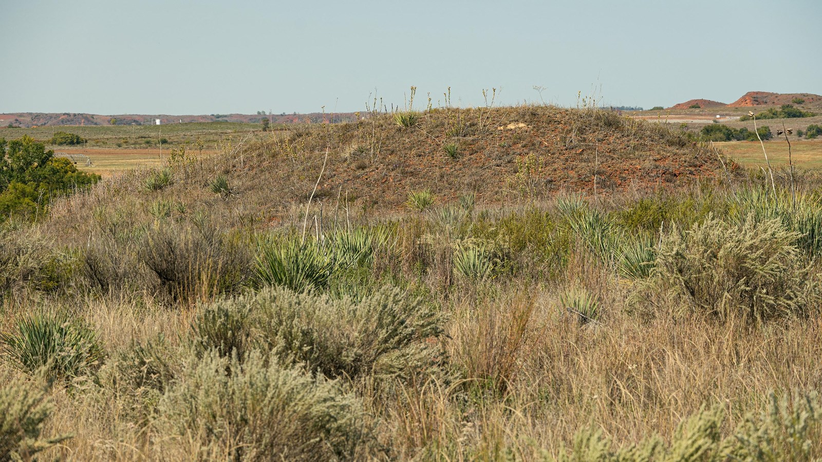 A small hill rising out of a grassland under a blue sky.