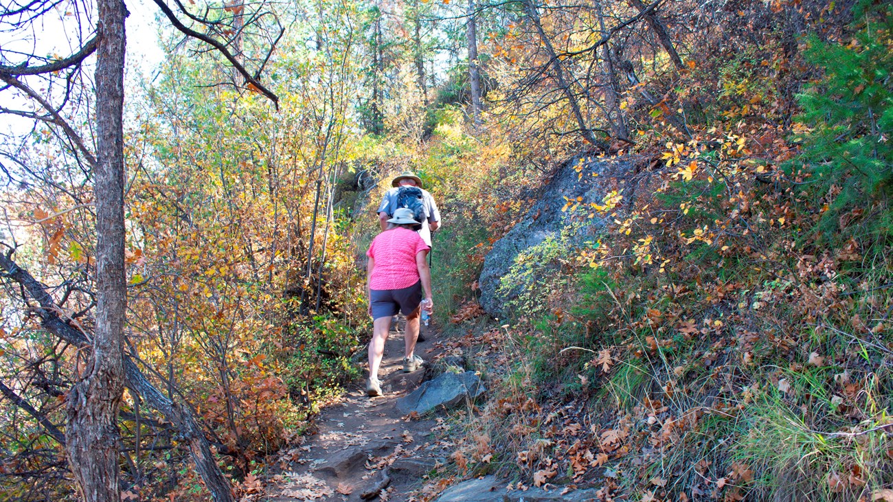 Oak Flat Trail 