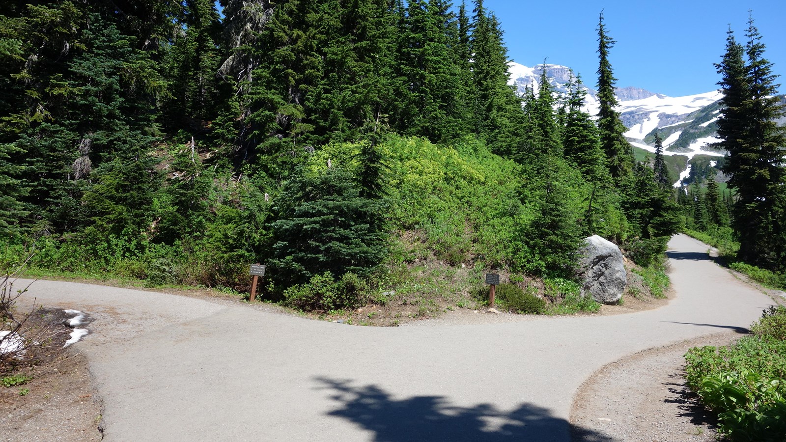 A paved trail joins another trail that curves around the edge of a hillside towards a snowy ridge.