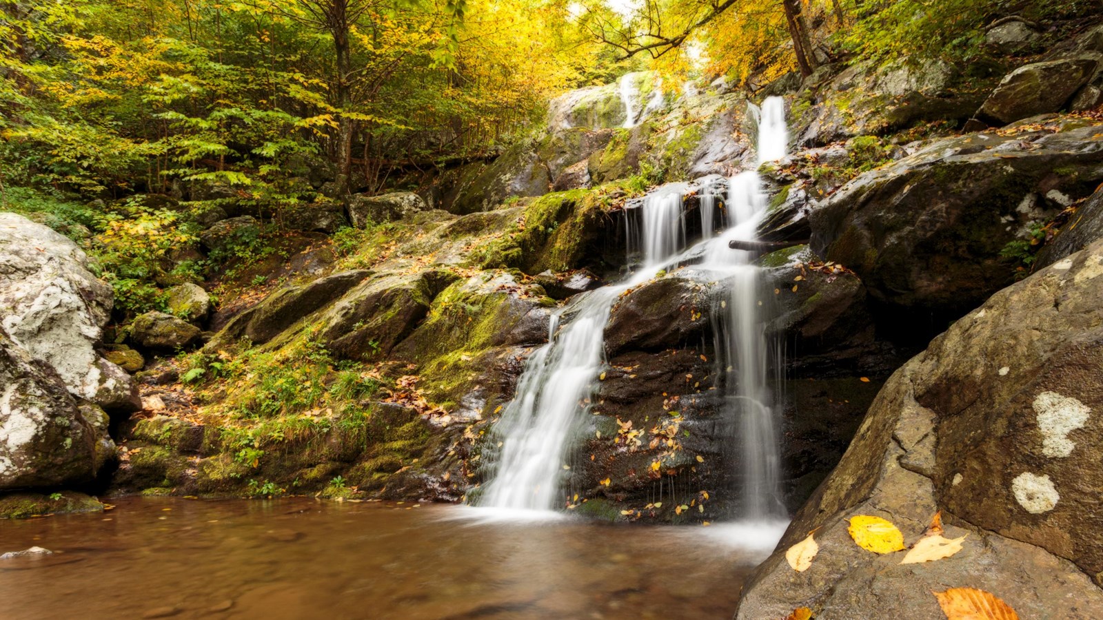 A waterfall cascades under trees with the yellow leaves of fall.