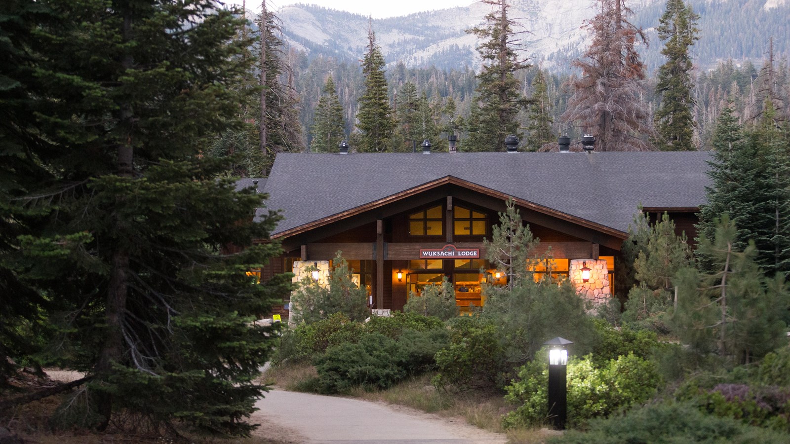 A illuminated lodge sits in between tall trees