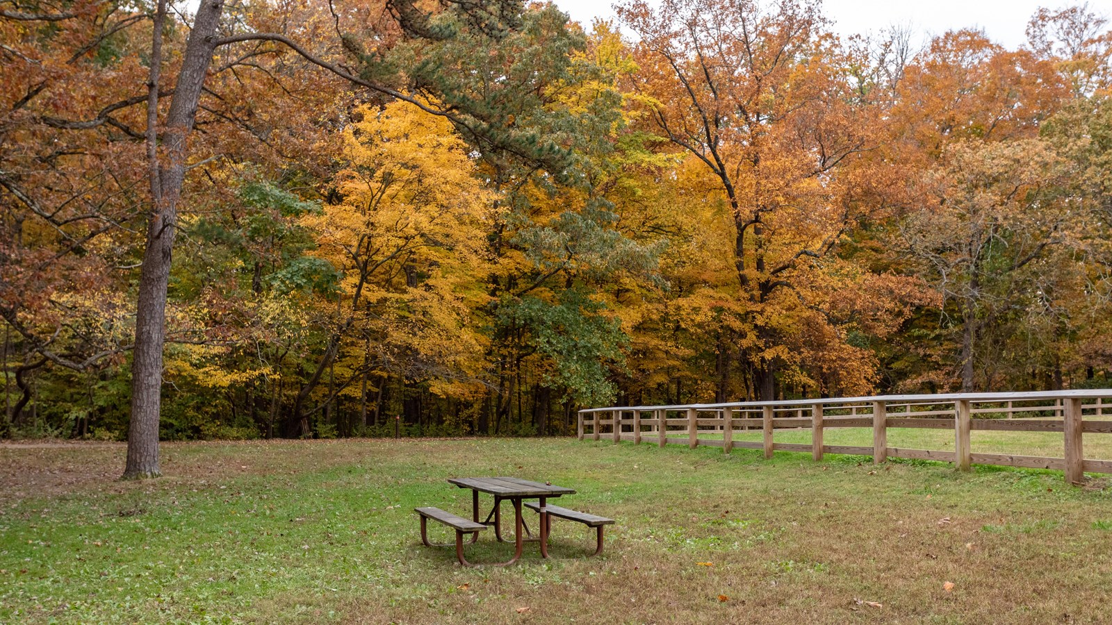 A picnic bench in a grassy field next to a wooden fence. 