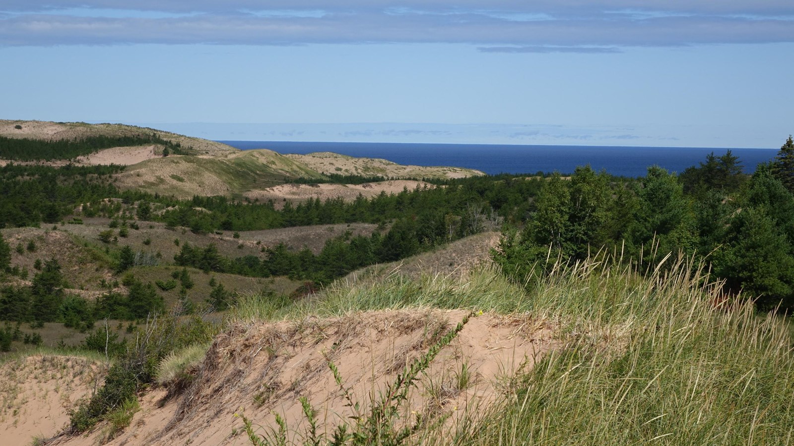 Dune and swale areas well away from the dune face on Lake Superior.
