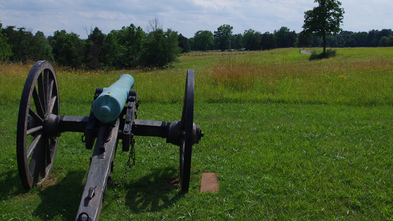 Artillery on Chinn Ridge
