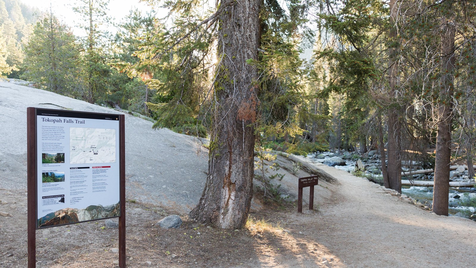 A dirt trail runs alongside a river cutting between tall trees