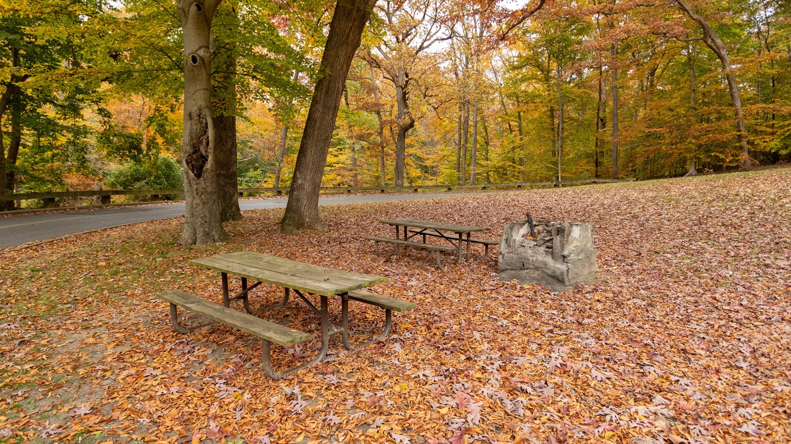 A picnic bench surrounded by fallen orange and yellow leaves