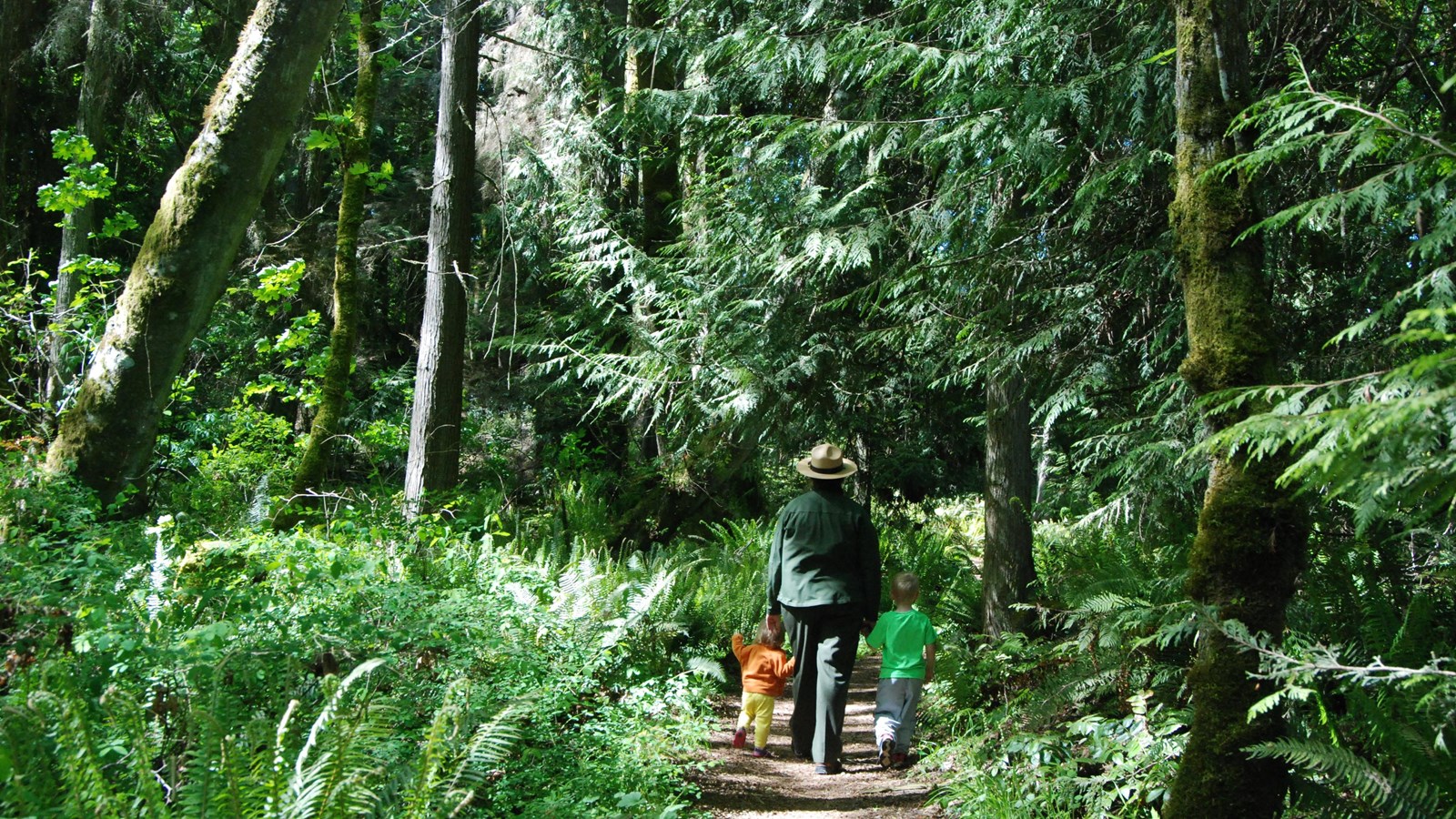An adult and two children walk a forest trail surrounded by cedar trees and tall ferns