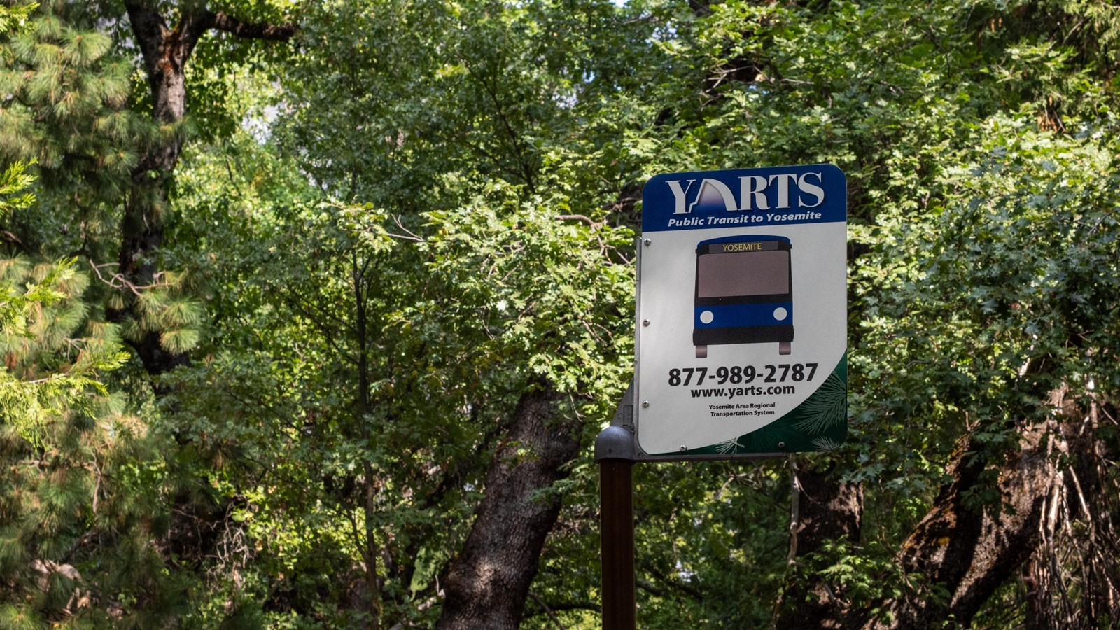 A blue, green, and white metal sign with a bus icon reading 