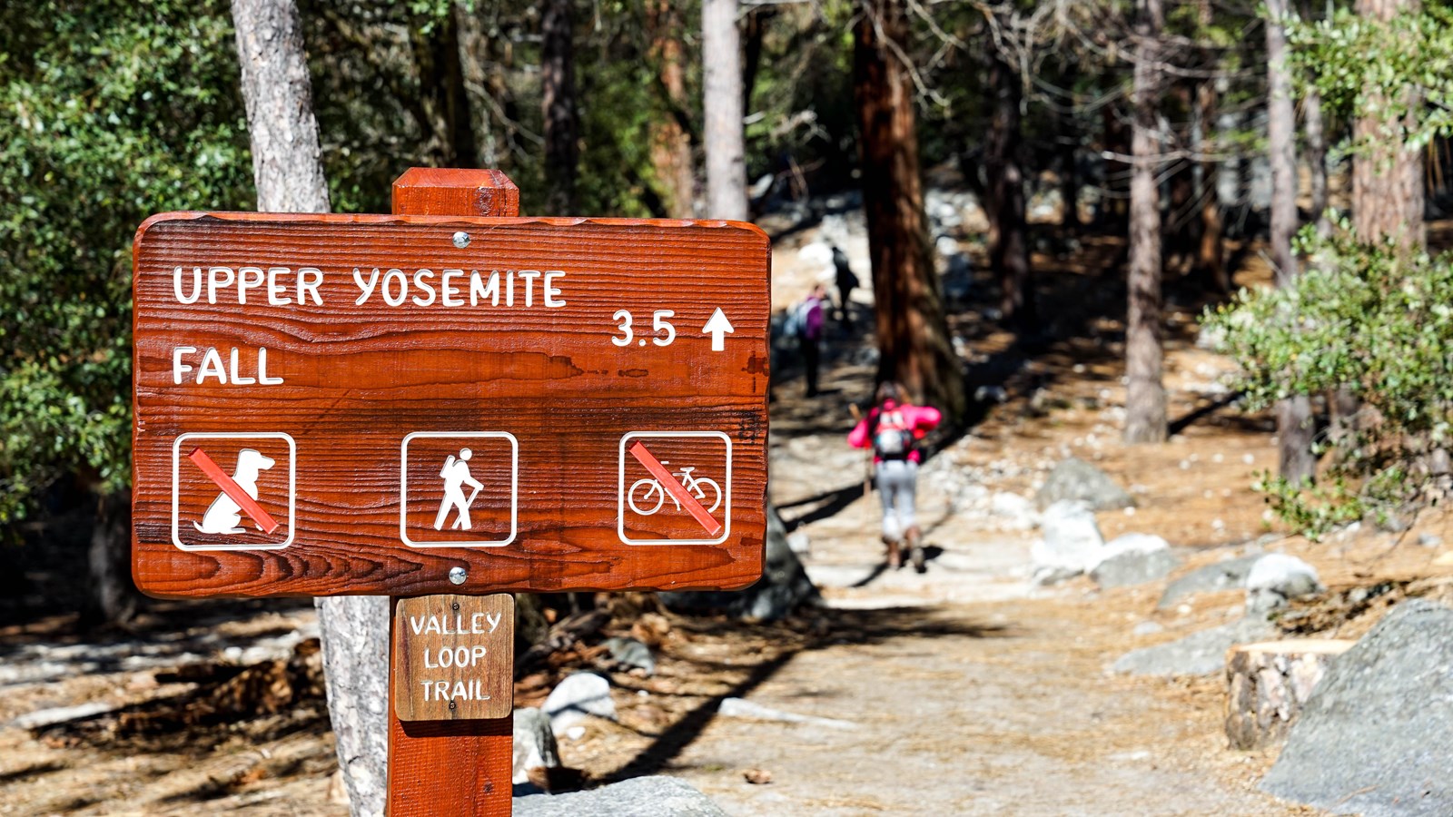 Wooden sign at trailhead
