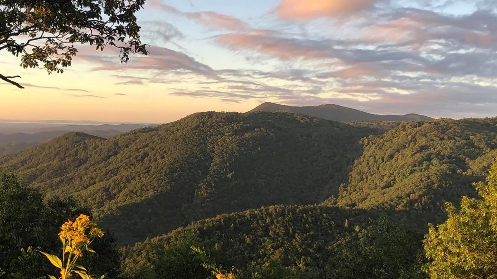 Green, forested mountain ridges beneath a pale morning sky