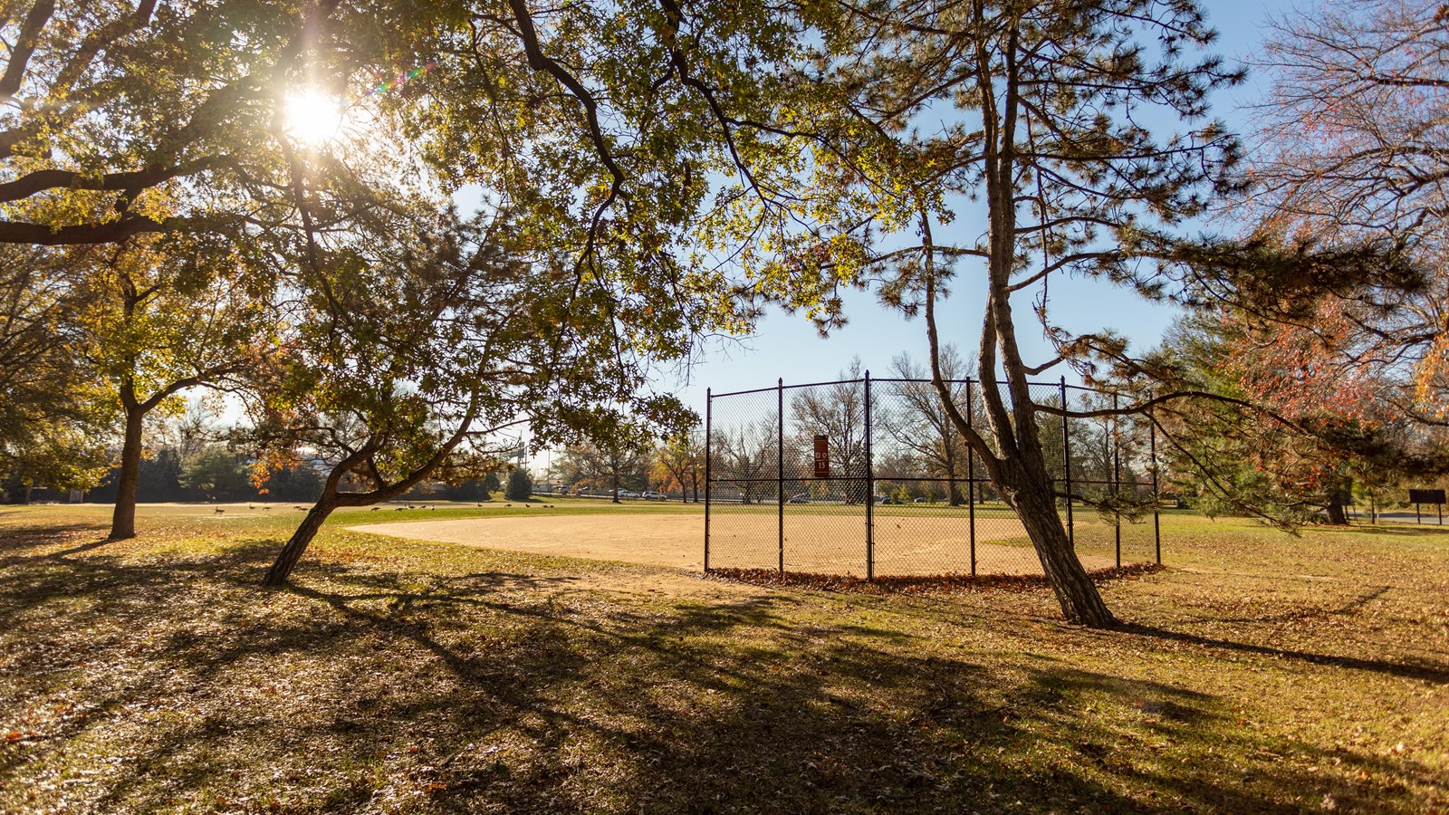 A softball field.