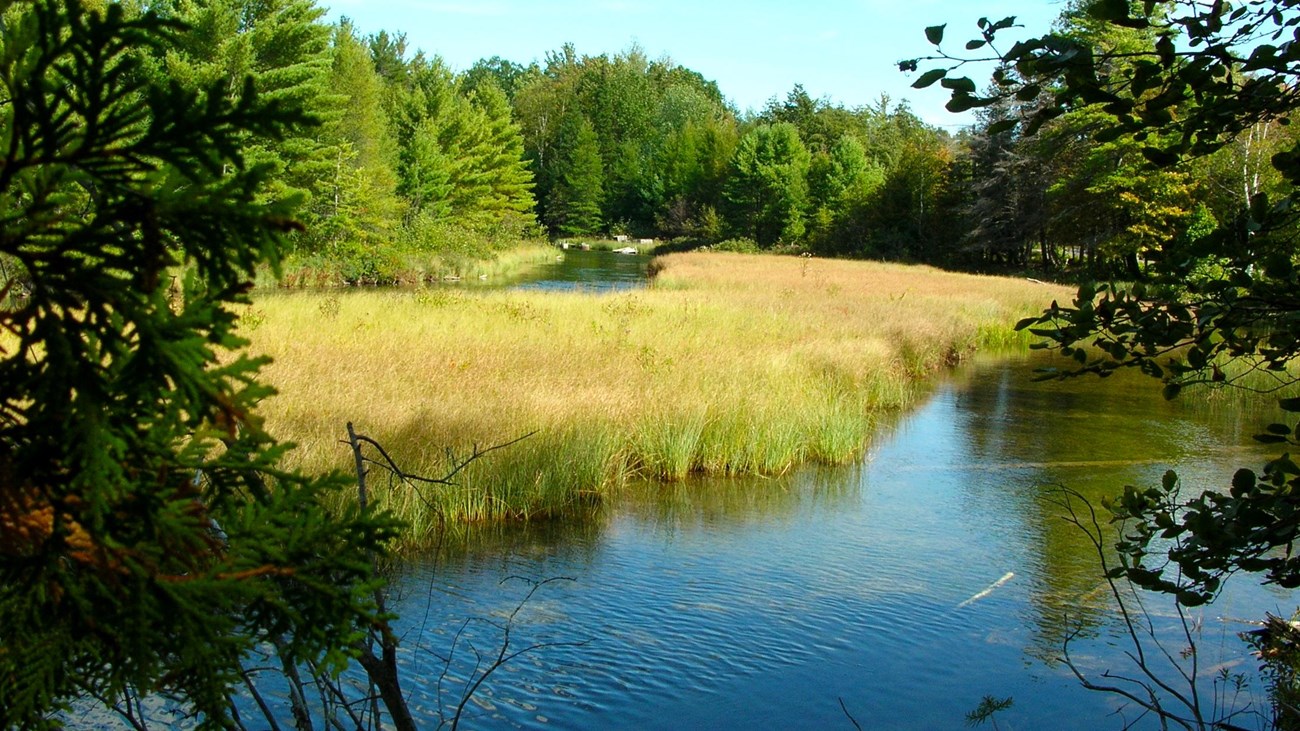 Clear, shallow river reflects the sky as it winds through light green grasses