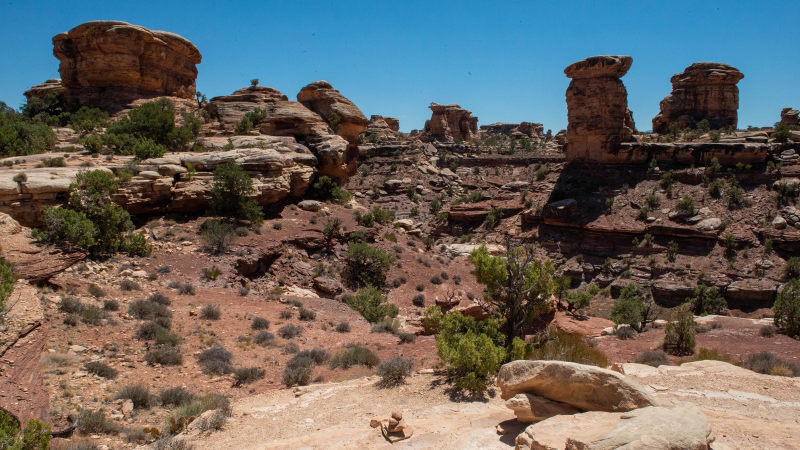 Brown rock spires, beige sandstone benches, and green shrubs line the canyon at Big Spring Overlook.