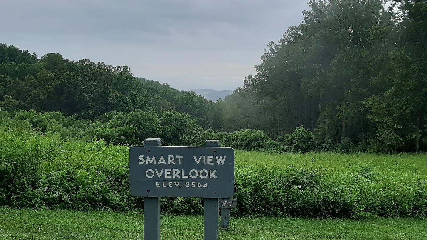 Wooden sign, Smart View Overlook, 2564, then lush green field of small shrubs in front of forest.