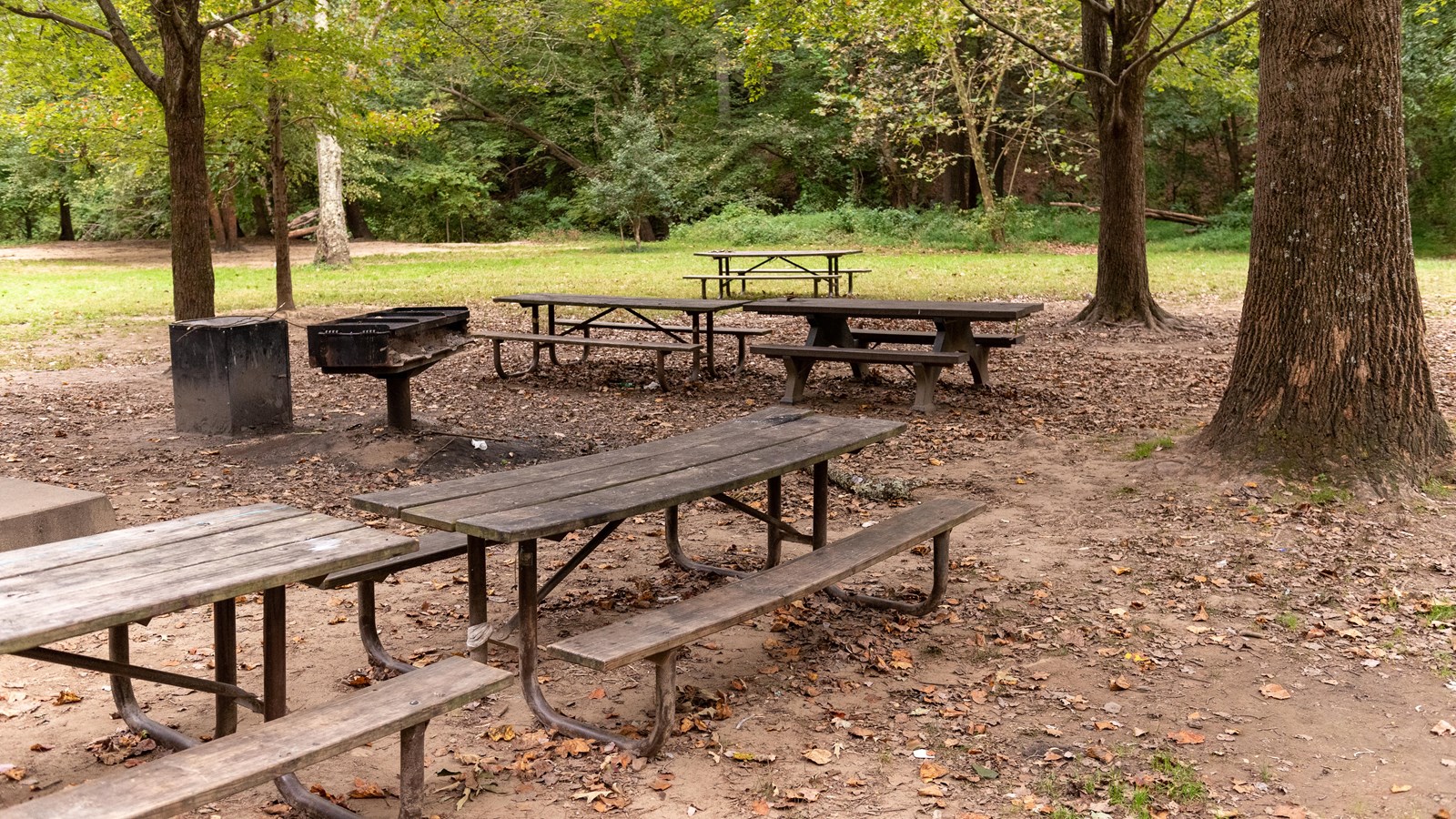 Four picnic benches in a wooded area. 