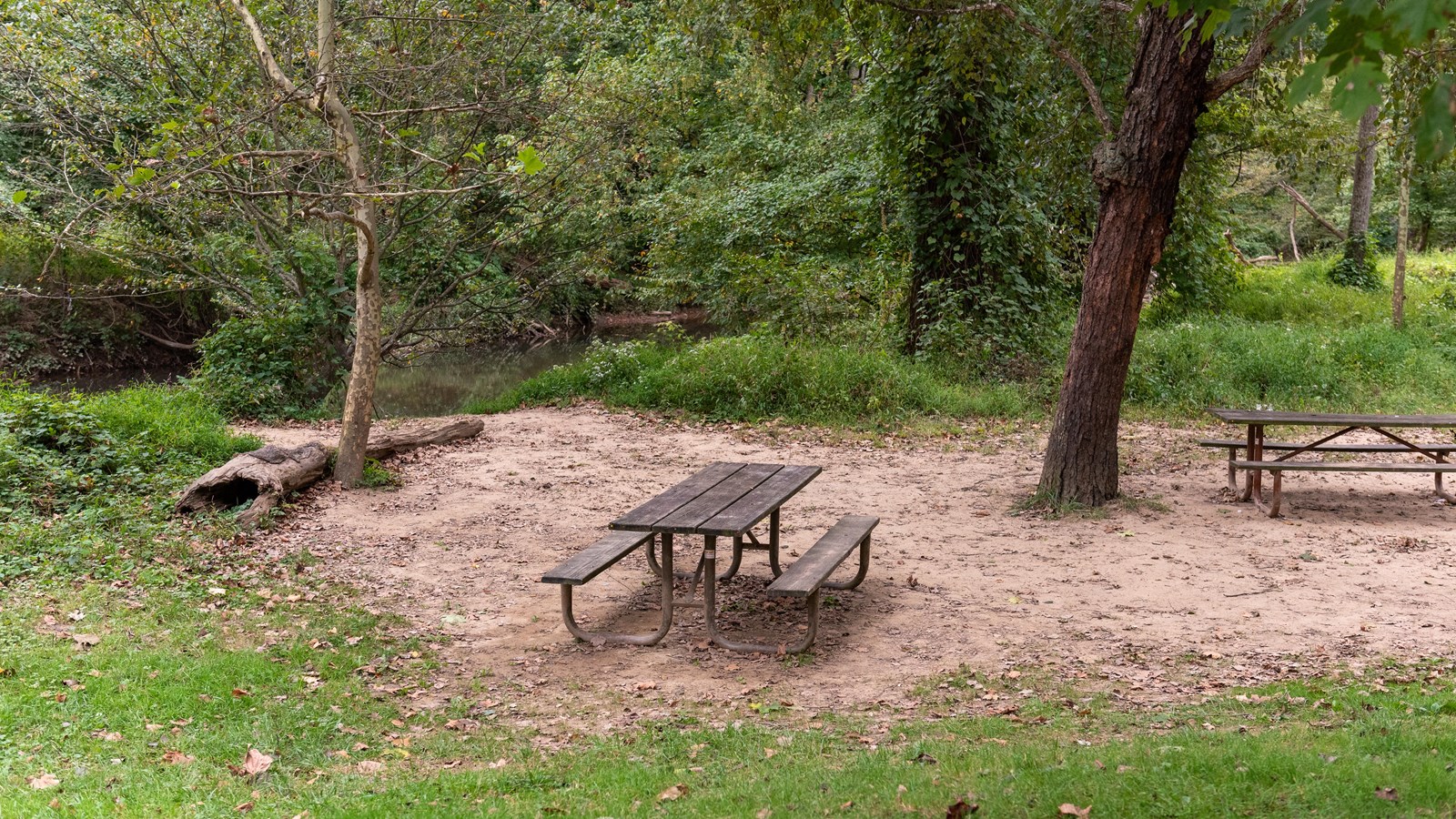 Two picnic benches in front of a wooded area. 