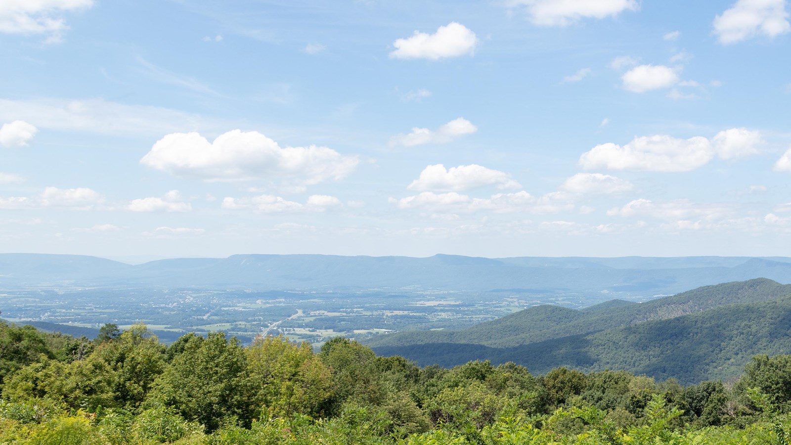 Color photo showing green trees surround an overlook looking down into a valley below.
