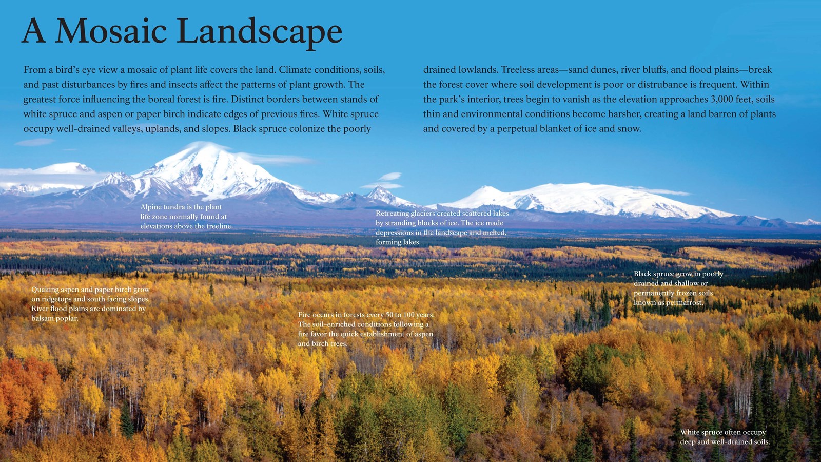 A Mosaic Landscape wayside overlook