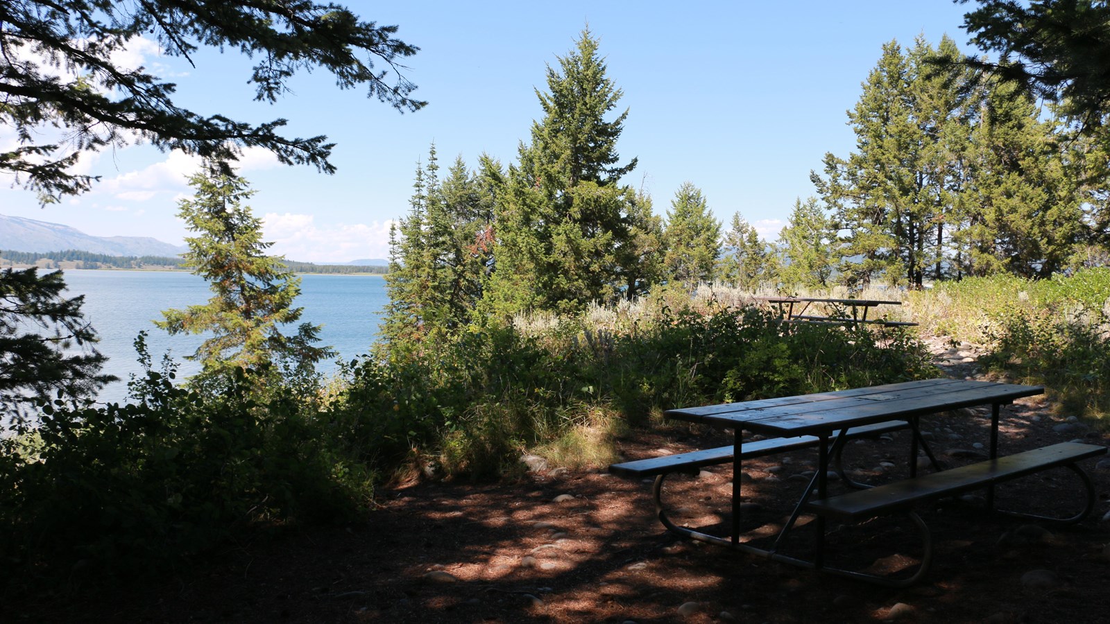 Picnic tables in a forested area with a view of a large blue lake. 