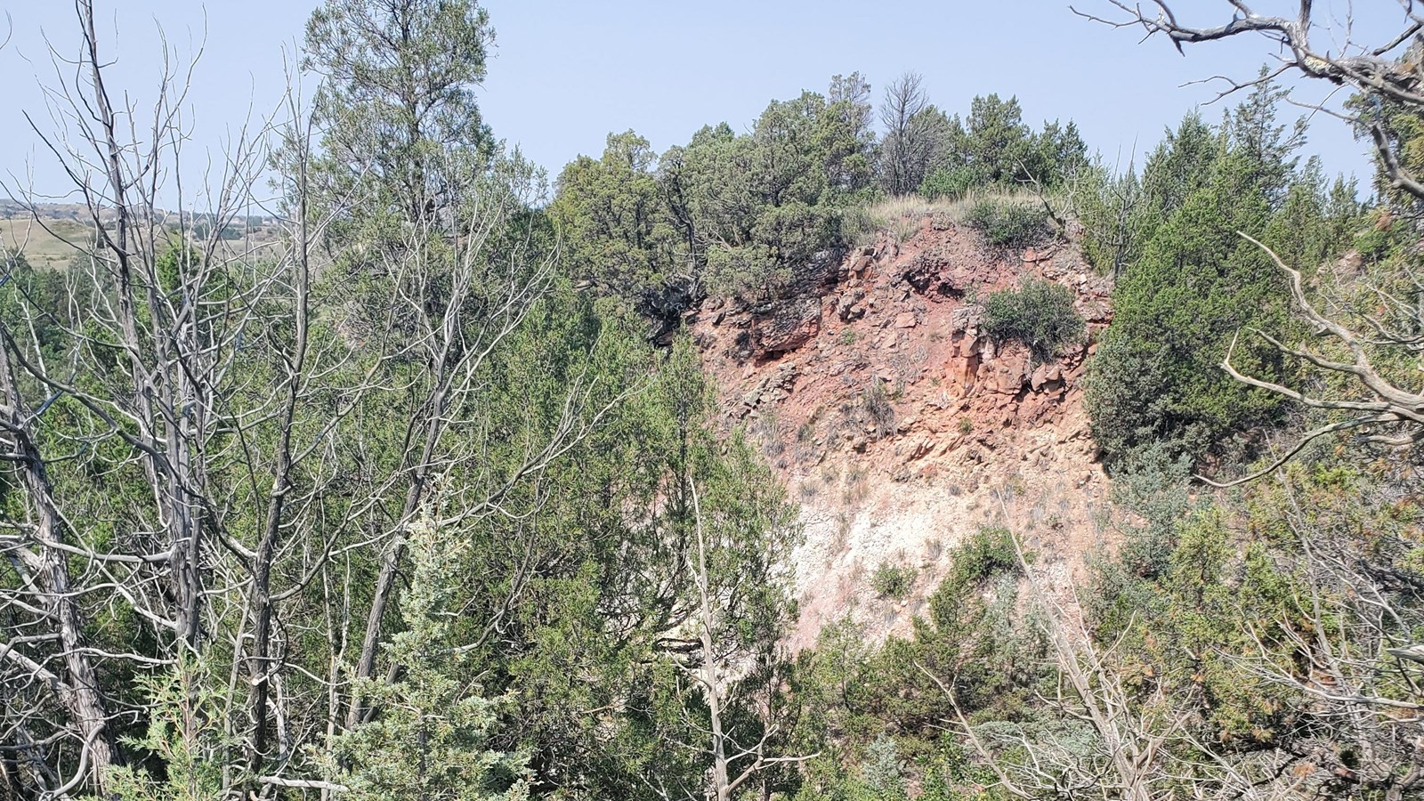A view down into a canyon, with red rock visible through trees.