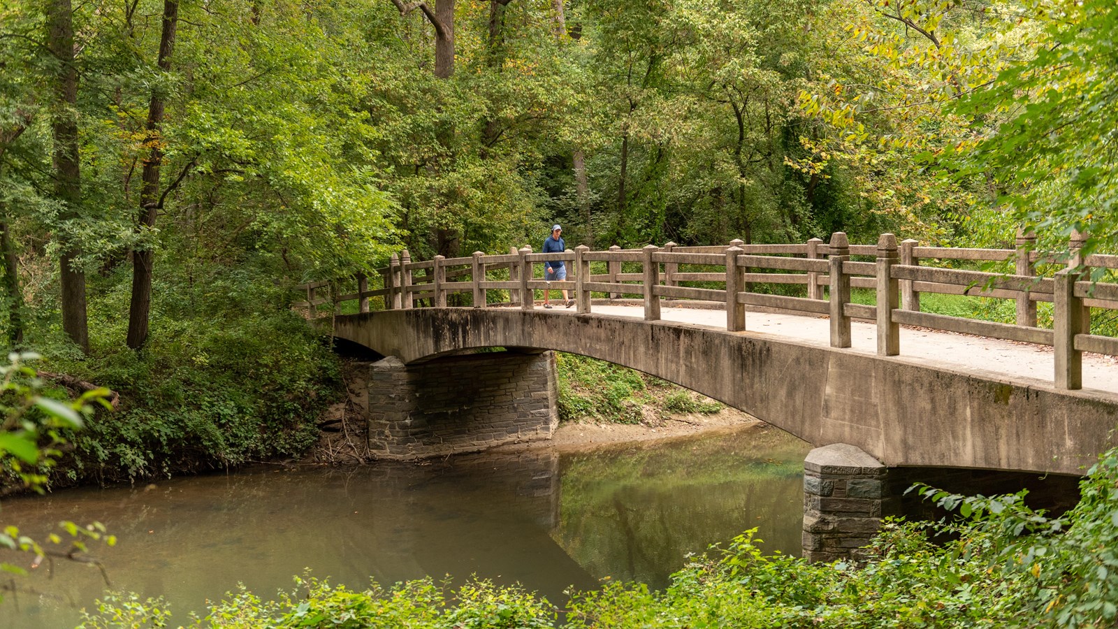 A bridge over a river surrounded by trees.