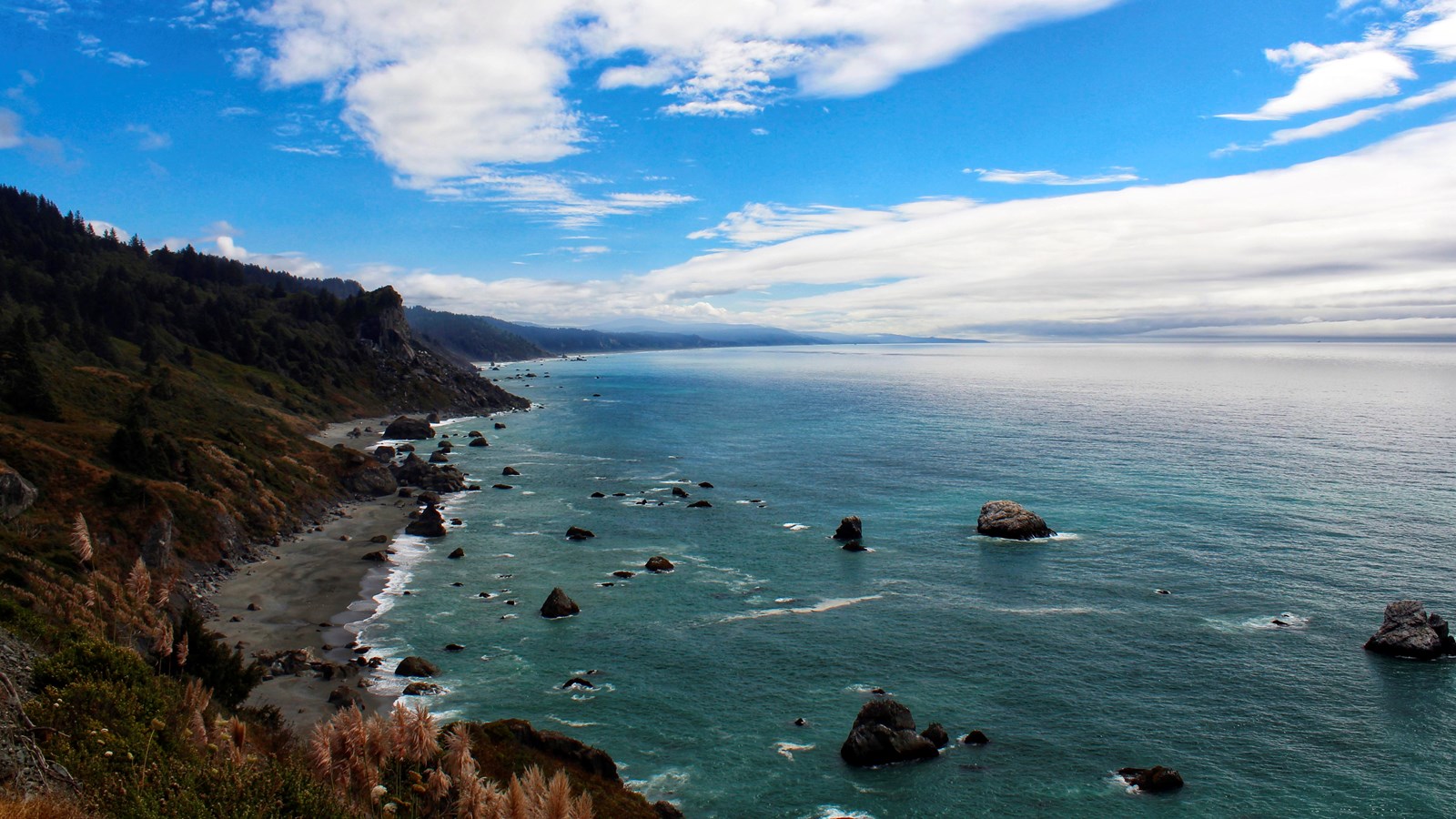 Calm, green ocean and forest covered coastline.