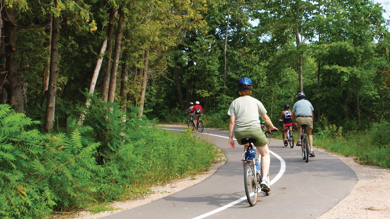Bikers on a paved trail curving left into wooded area