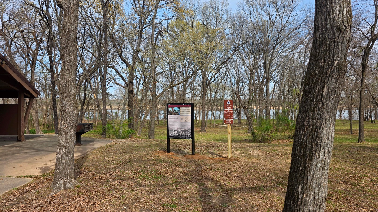 An upright wayside panel and Trail of Tears signage next to a picnic shelter amongst trees.