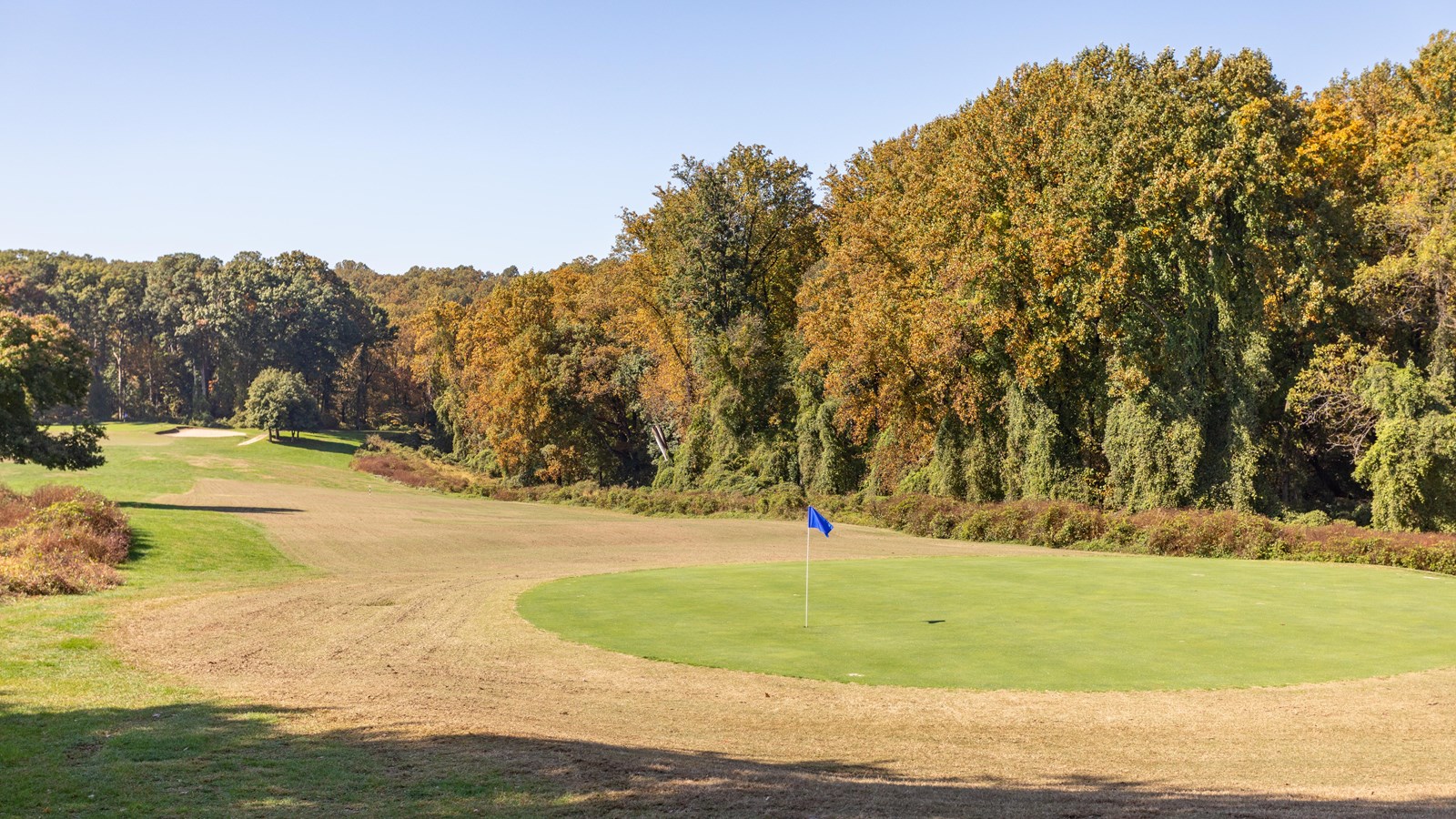 A golf course surrounded by trees. 