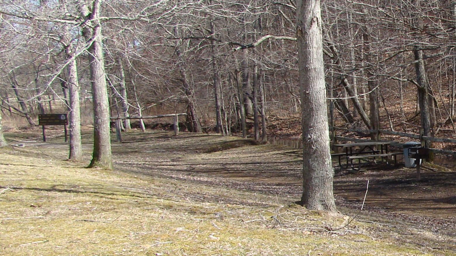 Picnic area with two picnic tables near a wooden fence and creek.