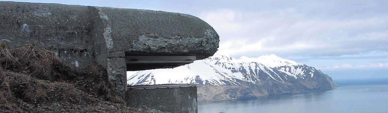 a concrete structure overlooks a harbor