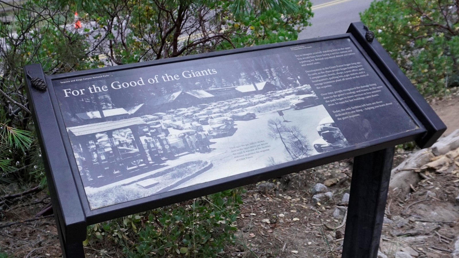 metal framed sign sits across from the giant forest museum