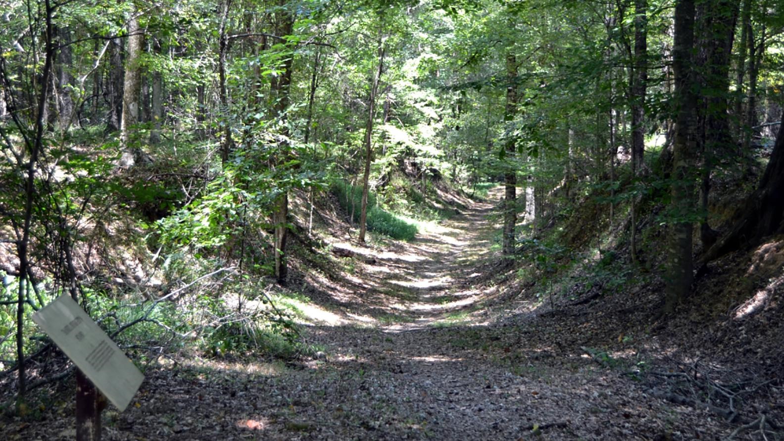 Old Trace at Grindstone Ford. Trail is slightly sunken with trees growing on both embankments