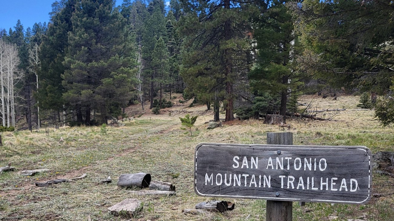 A wooden trail sign that says San Antonio Mountain Trailhead.
