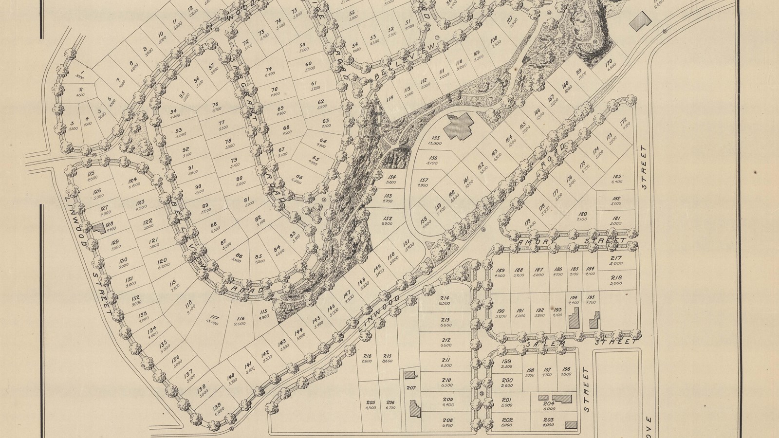 Pencil plan of suburban community with curving tree lined roads and lots for homes