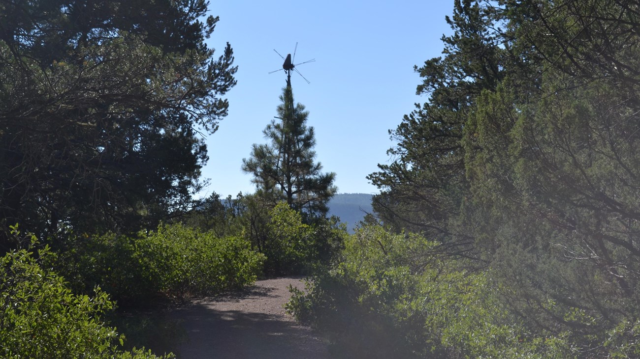 A trail winds through shrubs and low trees, leading to a silhouetted windmill.