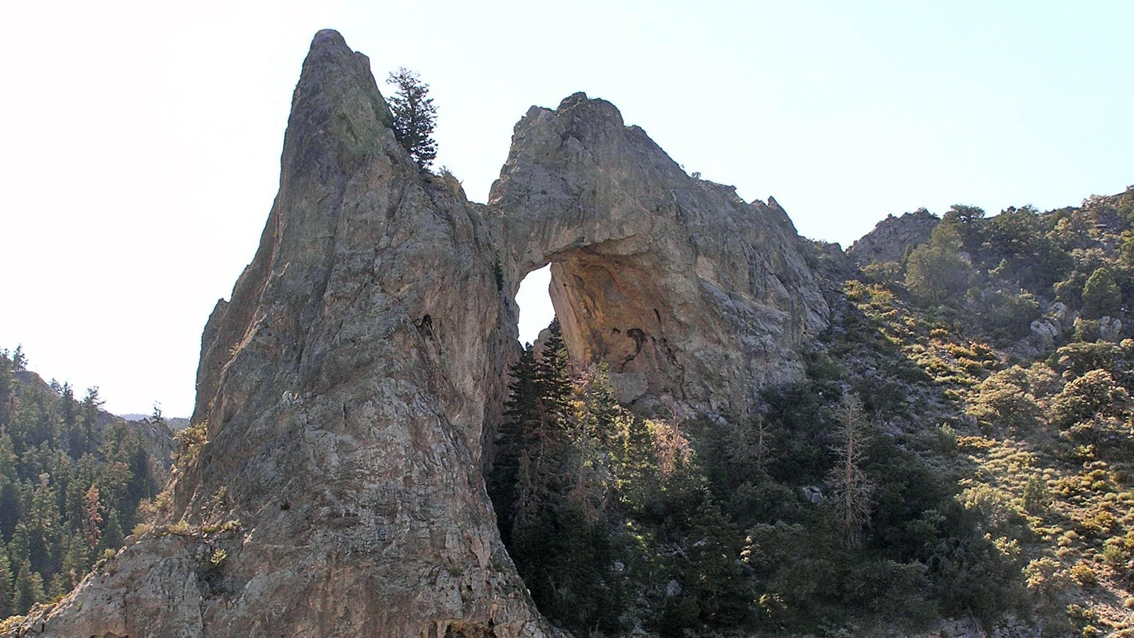 Large 200 foot limestone arch on the side of a canyon 