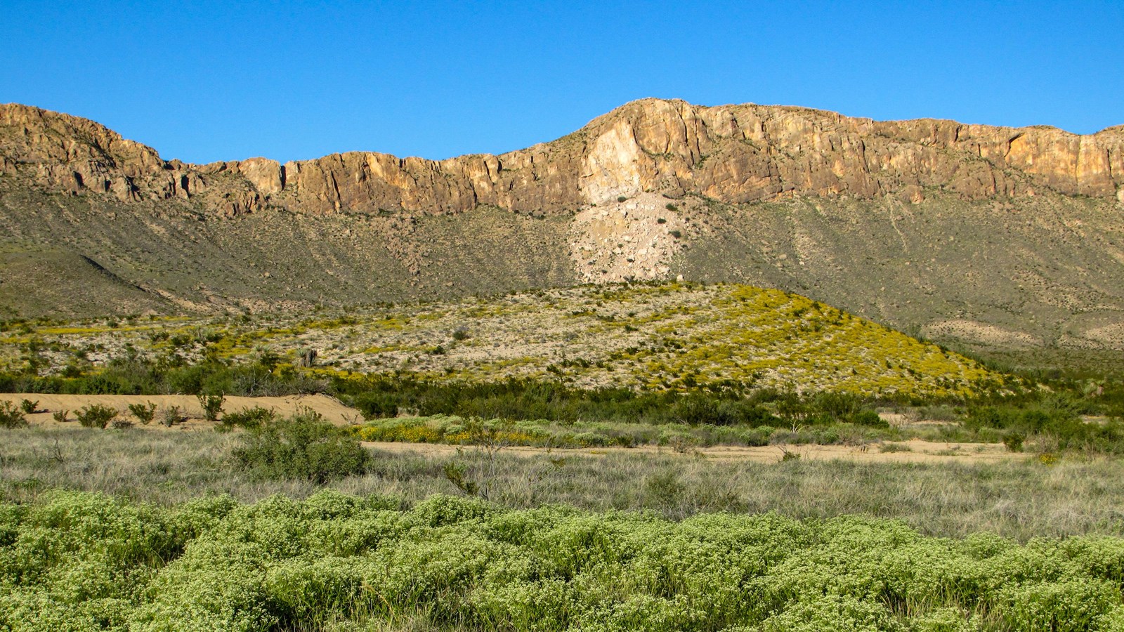 A limestone cliff face reveals a white scar with rock boulders underneath from a rockslide.