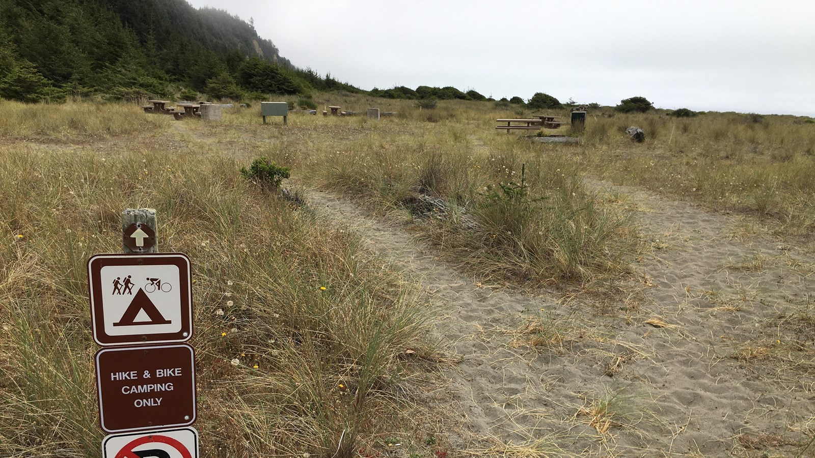 Hike and bike signs, sandy trail and a campsite on grassy dunes.
